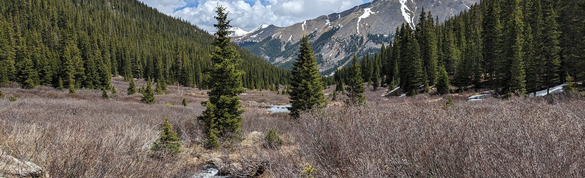 Deer Creek Trail, Colorado 82 Reviews, Map AllTrails
