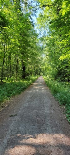 Von der Bergstraße zum Felsenmeer