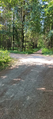Von der Bergstraße zum Felsenmeer