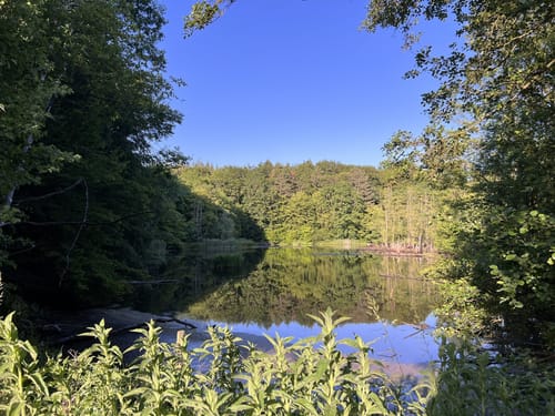 Scharbeutzer Heide und Großer Pönitzer See