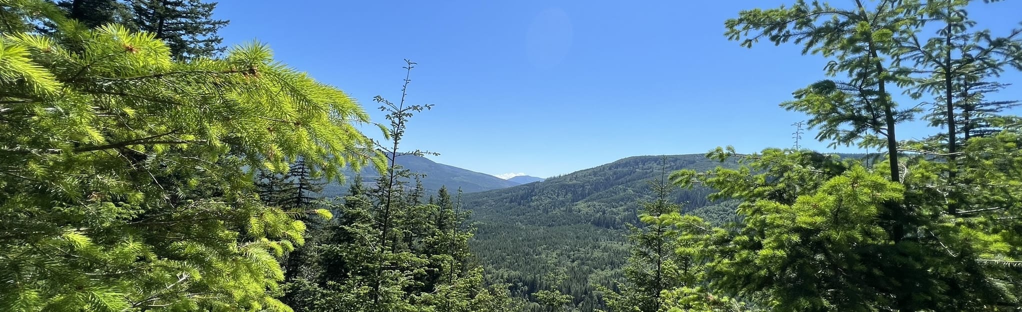 Tiger Mountain, Preston Railroad, Silent Swamp, and Northwest Timber