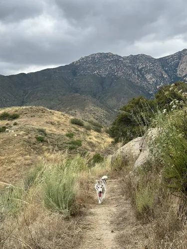 2023-best-historic-site-trails-in-lakeside-alltrails
