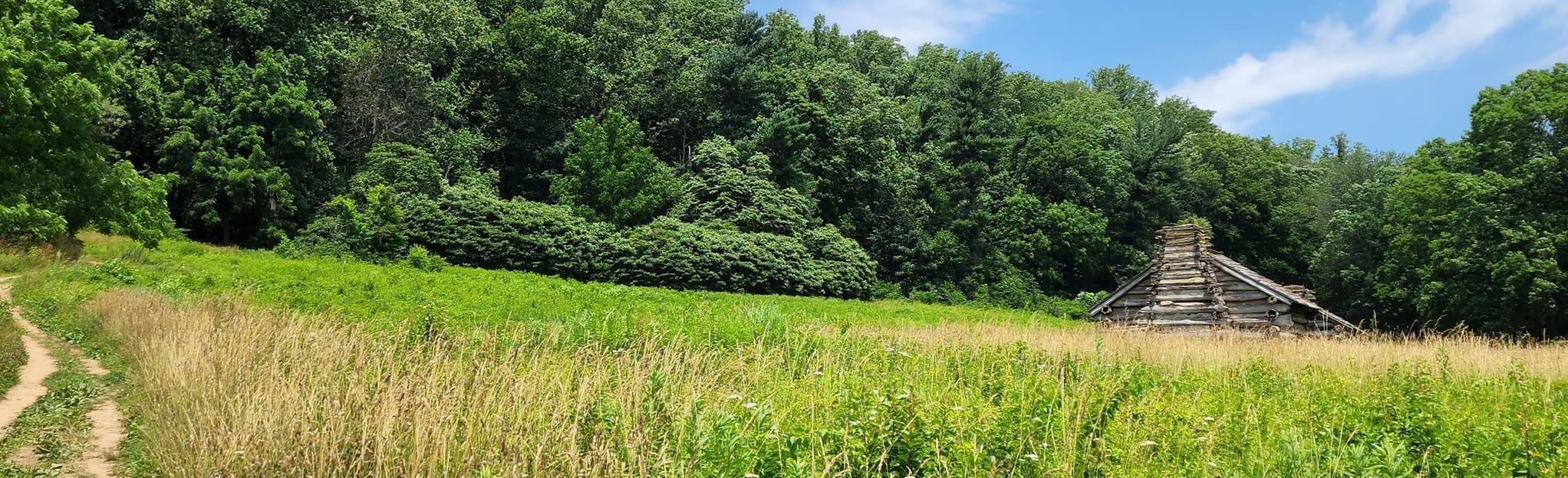 Mount Misery, Chapel Path and Mount Joy Trail 4.818 foto's