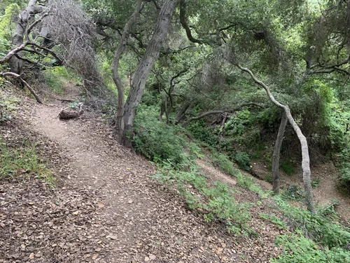 Dixie Canyon Park