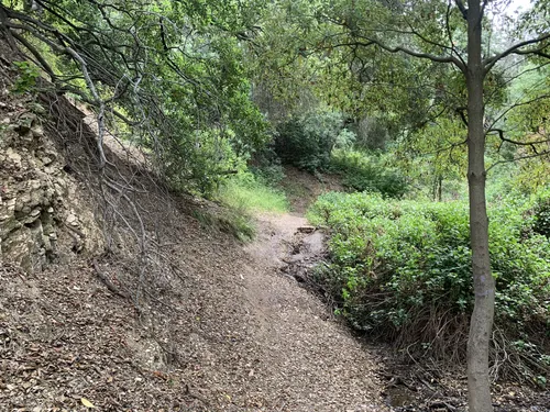 Dixie Canyon Park