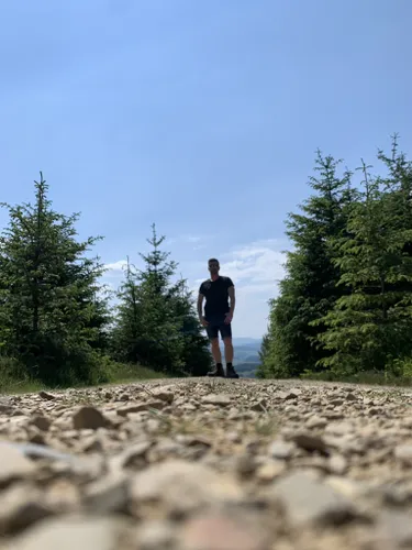 Glentress store walking trails