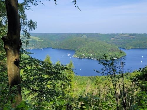 Urfttalsperre und Hirschley