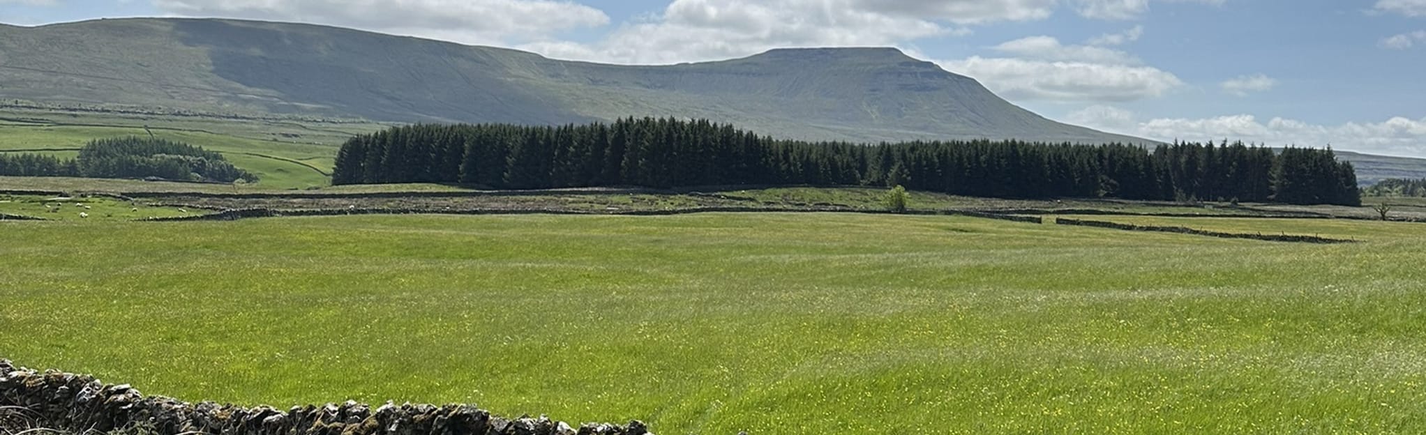 Ribblehead Station - Whernside: 1.449 foto - North Yorkshire ...