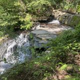 Pisgah Gorge Trail, Alabama - 277 Reviews, Map | AllTrails