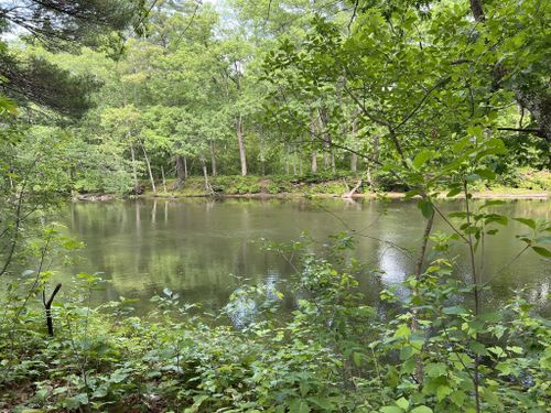 Photos of Groton Town Forest Loop Trail - Massachusetts | AllTrails