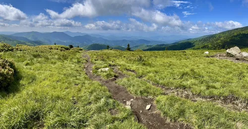 Best hikes in pisgah sale