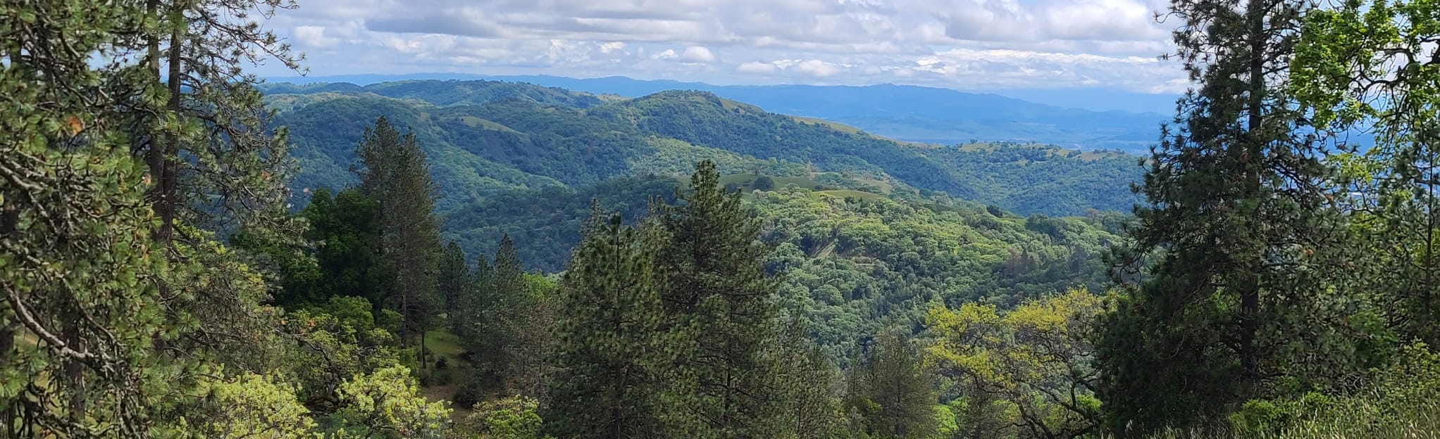 Ponderosa Loop Trail, California 68 Reviews, Map AllTrails