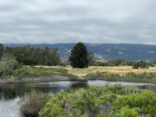 Best Hikes and Trails in Lake Los Carneros Ecological Preserve | AllTrails