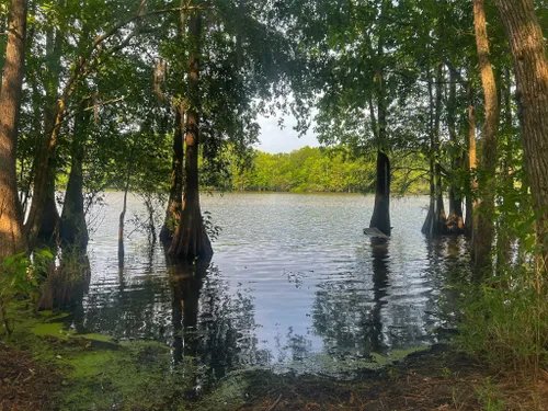 Celebrate National Trails Day in Santee, South Carolina