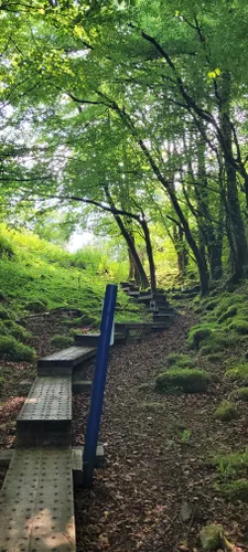 Best Forest Trails in Cavan Burren Park | AllTrails