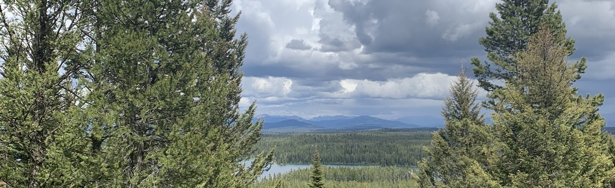 Holly Lake via Leigh Lake Trail to Paintbrush Canyon Trail, 1.966 Fotos