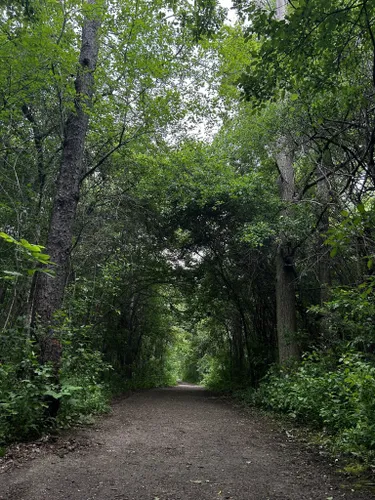 10 Best Trails and Hikes in Guelph
