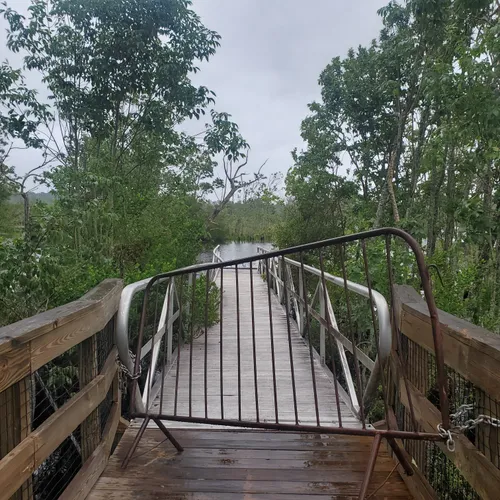 2023 Best Wheelchair Friendly Trails in L C Ringhaver Park AllTrails