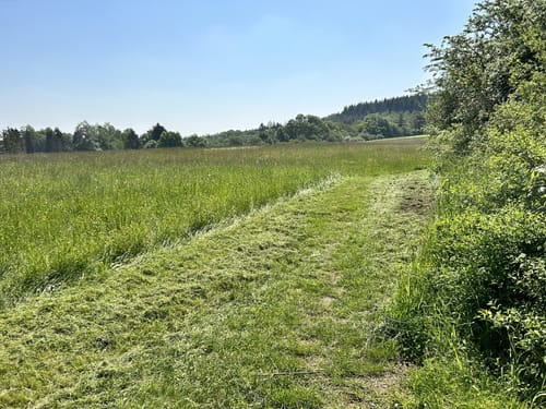 Bärenbachpfad (Traumschleife)