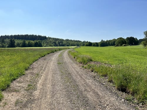 Bärenbachpfad (Traumschleife)