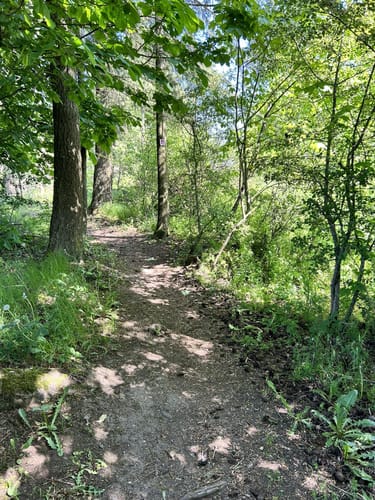 Bärenbachpfad (Traumschleife)