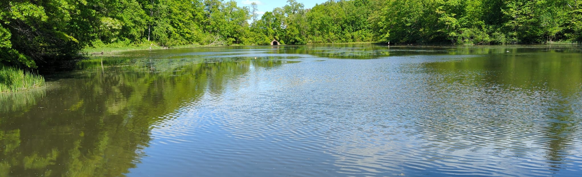 Porter Lake, Fountain Lake, and Duck Pond Loop, Massachusetts 36 Reviews, Map AllTrails