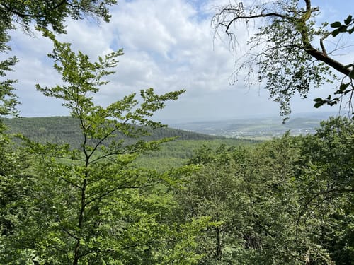 Großer Rundweg (Nickenich NI1)