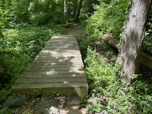 2023 Best Partially Paved Trails in Falls Church | AllTrails