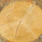 Clear Creek Bicycle Trail Alabama - EyJidWNrZXQiOiJhc3NldHMuYWxsdHJhaWxzLmNvbSIsImtleSI6InVwbG9hZHMvcGhvdG8vaW1hZ2UvNjAwMTI2MDgvNmUwMjE5NjQwM2QwNGYxN2Y3YTUyNzJmNGU1ZTJiMGEuanBnIiwiZWRpdHMiOnsidG9Gb3JtYXQiOiJqcGVnIiwicmVzaXplIjp7IndpZHRoIjoxNjAsImhlaWdodCI6MTYwLCJmaXQiOiJjb3ZlciJ9LCJyb3RhdGUiOm51bGwsImpwZWciOnsidHJlbGxpc1F1YW50aXNhdGlvbiI6dHJ1ZSwib3ZlcnNob290RGVyaW5naW5nIjp0cnVlLCJvcHRpbWlzZVNjYW5zIjp0cnVlLCJxdWFudGlzYXRpb25UYWJsZSI6M319fQ==