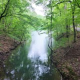 Clear Creek Bicycle Trail Alabama - EyJidWNrZXQiOiJhc3NldHMuYWxsdHJhaWxzLmNvbSIsImtleSI6InVwbG9hZHMvcGhvdG8vaW1hZ2UvNjAwMTI2MjIvNDAyY2RjOTgyNTY5ZWYwZTJlODVjZDY4MWQ2OTNjYTYuanBnIiwiZWRpdHMiOnsidG9Gb3JtYXQiOiJqcGVnIiwicmVzaXplIjp7IndpZHRoIjoxNjAsImhlaWdodCI6MTYwLCJmaXQiOiJjb3ZlciJ9LCJyb3RhdGUiOm51bGwsImpwZWciOnsidHJlbGxpc1F1YW50aXNhdGlvbiI6dHJ1ZSwib3ZlcnNob290RGVyaW5naW5nIjp0cnVlLCJvcHRpbWlzZVNjYW5zIjp0cnVlLCJxdWFudGlzYXRpb25UYWJsZSI6M319fQ==