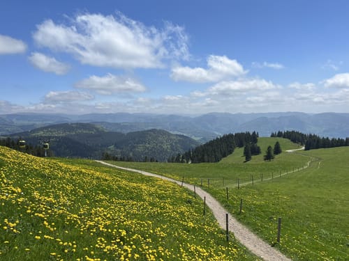 Belchensteig (Genießerpfad)