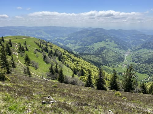 Belchensteig (Genießerpfad)