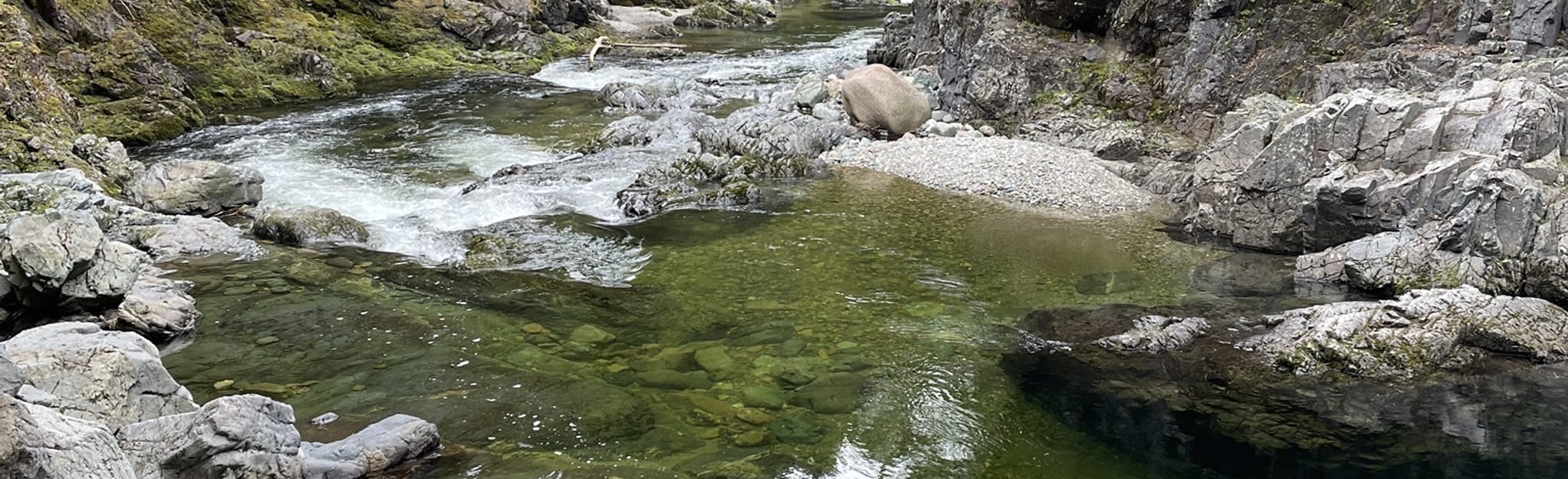 Crooked Creek Falls, New Brunswick, Canada 104 Reviews, Map AllTrails