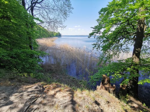 Von Klein Nemerow entlang des Tollensesees