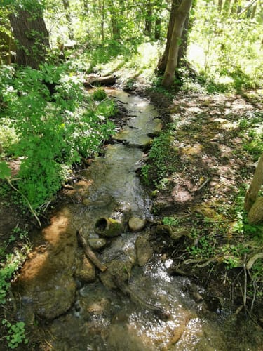 Von Klein Nemerow entlang des Tollensesees