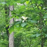 Clear Creek Bicycle Trail Alabama - EyJidWNrZXQiOiJhc3NldHMuYWxsdHJhaWxzLmNvbSIsImtleSI6InVwbG9hZHMvcGhvdG8vaW1hZ2UvNjAwMjY4MTcvZTgyZTJlMWFlOWNhNzhmZjdkYmUyNGIzNDllMGQwOTkuanBnIiwiZWRpdHMiOnsidG9Gb3JtYXQiOiJqcGVnIiwicmVzaXplIjp7IndpZHRoIjoxNjAsImhlaWdodCI6MTYwLCJmaXQiOiJjb3ZlciJ9LCJyb3RhdGUiOm51bGwsImpwZWciOnsidHJlbGxpc1F1YW50aXNhdGlvbiI6dHJ1ZSwib3ZlcnNob290RGVyaW5naW5nIjp0cnVlLCJvcHRpbWlzZVNjYW5zIjp0cnVlLCJxdWFudGlzYXRpb25UYWJsZSI6M319fQ==