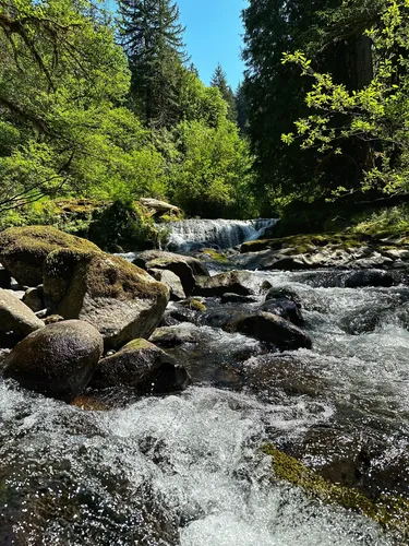 Best hikes in outlet siuslaw national forest