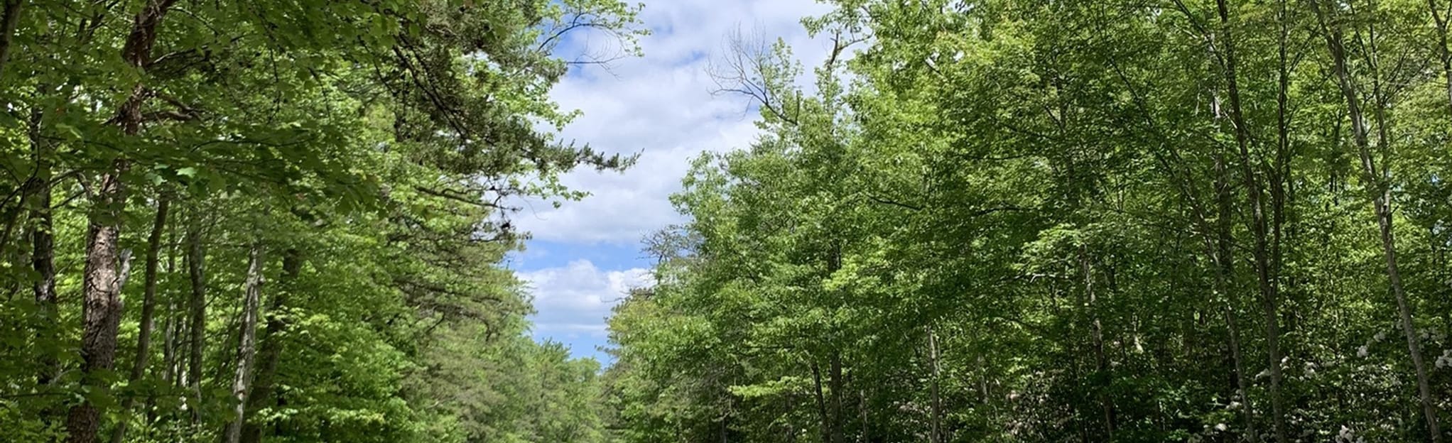 Pickle Factory Pond Trail, New Jersey 21 Reviews, Map AllTrails