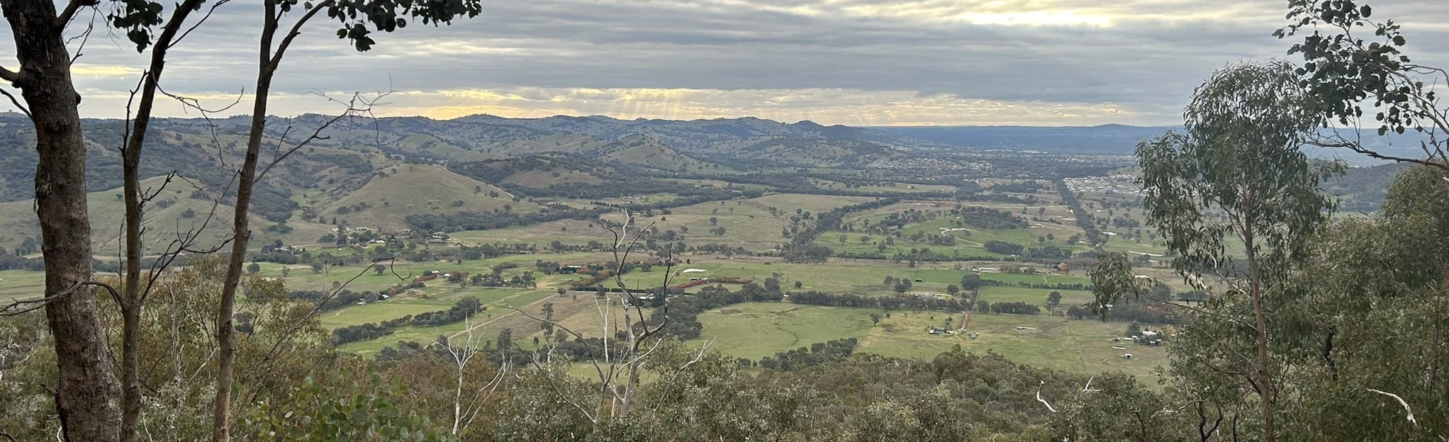 Baranduda Ridge Circuit via Ridge Lane, Victoria, Australia 6 Reviews