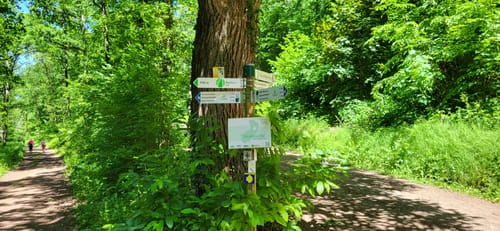 Entlang der Bleischmelze und zum Kaiserhammer