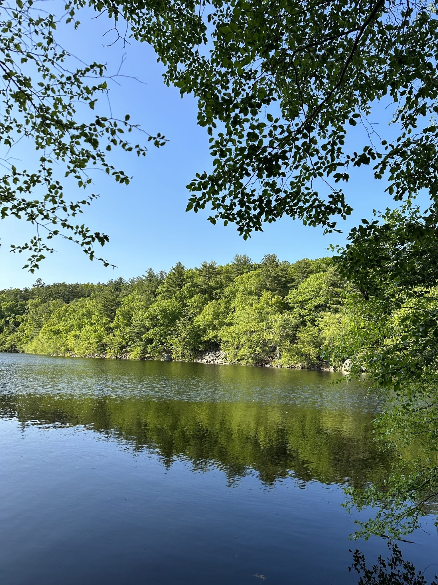 16+ Lynn Woods Reservation Map