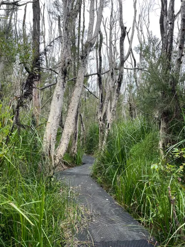 Croajingolong national park on sale walks