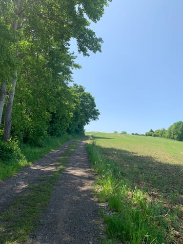 Rund um Oelsnitz