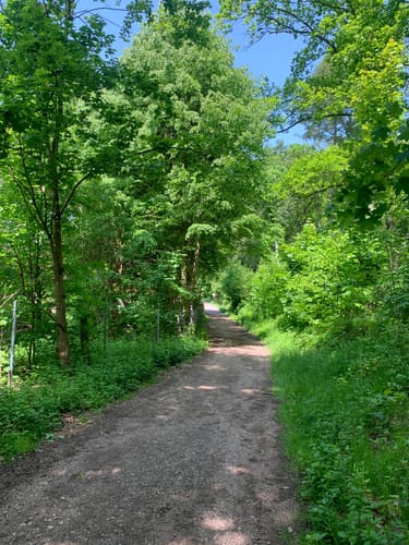 Rund um Oelsnitz