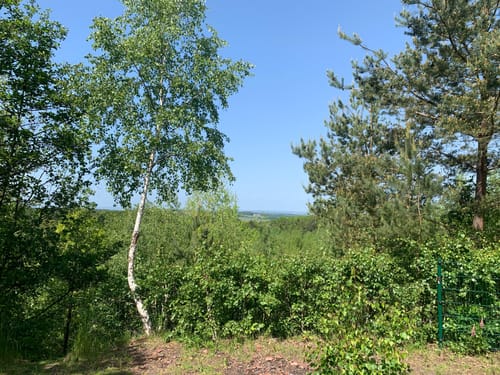 Rund um Oelsnitz