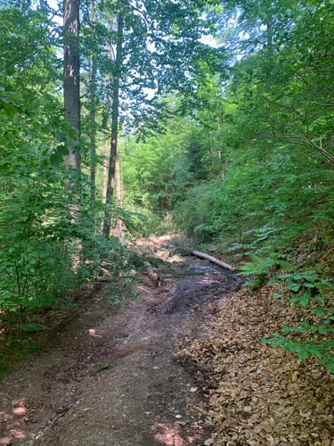 Rund um Oelsnitz