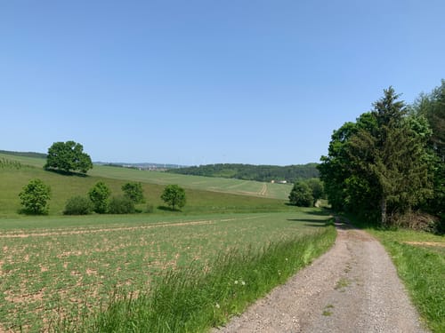 Rund um Oelsnitz