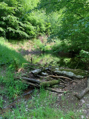 Rund um Oelsnitz
