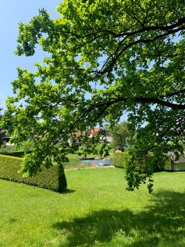 Rund um Oelsnitz