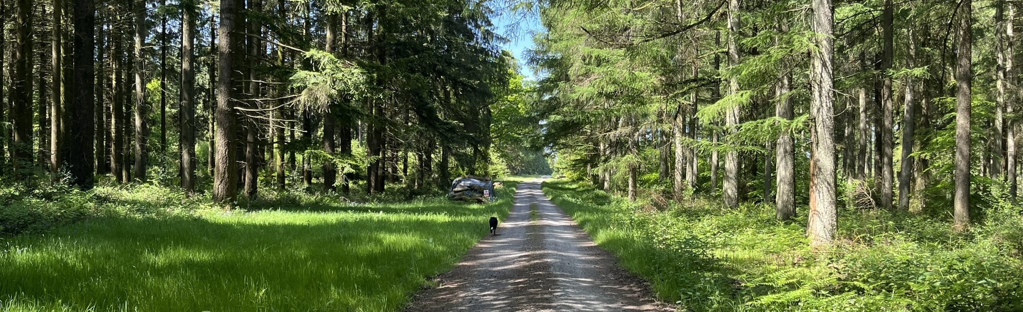Sherrington Wood Circular 22 Fotos Wiltshire, England AllTrails